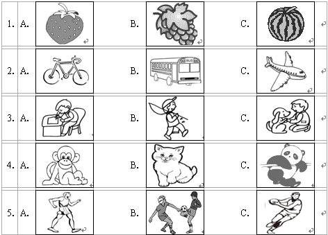 2013���п�Ӣ������