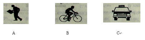 2013���п�Ӣ������