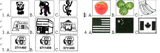 2013���п�Ӣ������