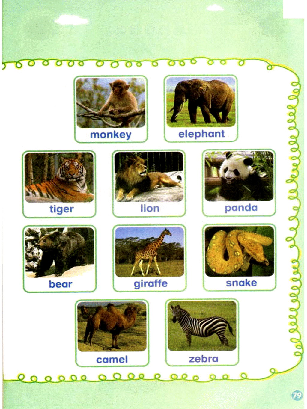 常见动物和其幼崽的英文名称|湖南少年儿童出版社英语