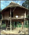 small hut