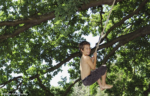 Reviving the rope swing: According to a research, fewer than 10 per cent of children regularly play in 'wild places' and 10 per cent cannot ride a bicycle.