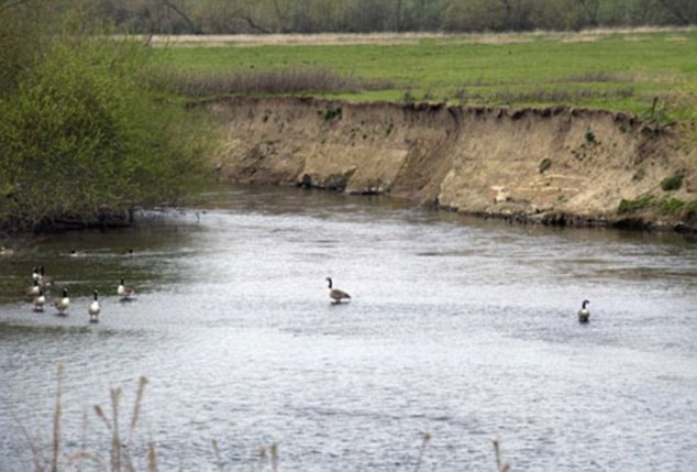 Worry: The River Severn - Britain's longest river - may completely dry up in places by the summer, with disastrous consequences for plants, wildlife and fish stocks
