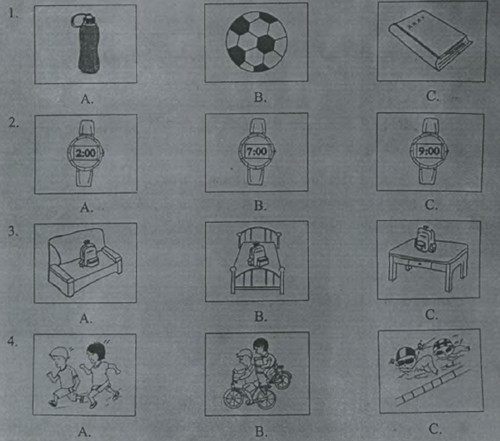 2014�����п�Ӣ������