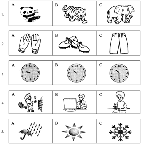 �п�Ӣ����������