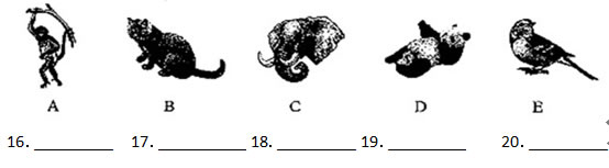 2016�����ʡ�п�Ӣ����������