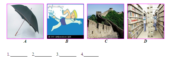 �п�Ӣ������ѵ��