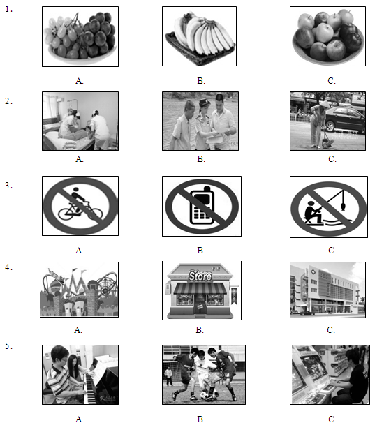 �п�Ӣ������ѵ��