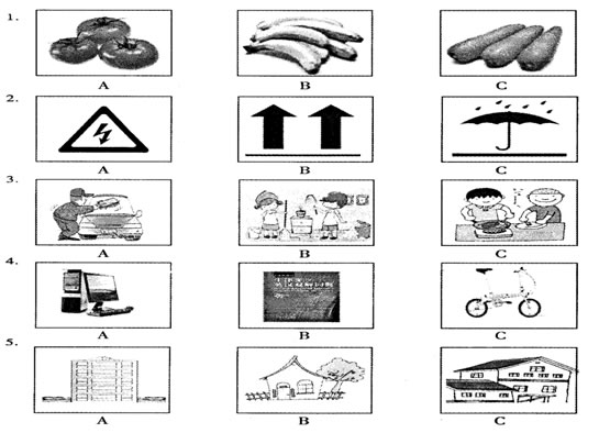 �п�Ӣ������ѵ��