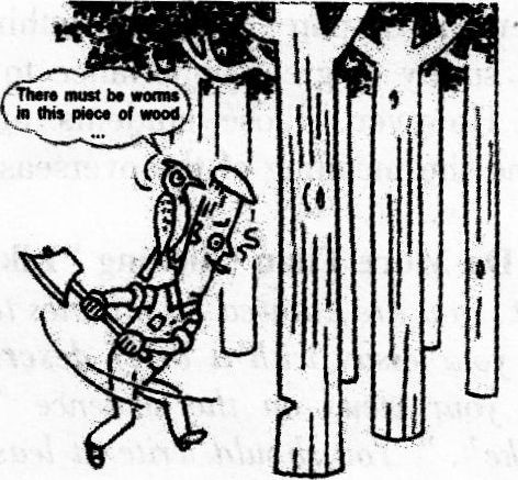 2017��6���ļ�����Ԥ�⣺On Protecting the Forests