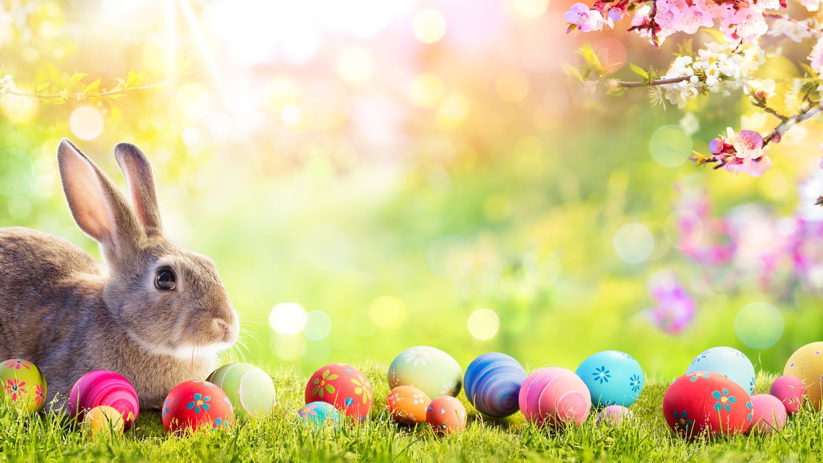 Easter Greetings