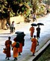 Laos street to river