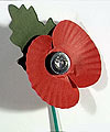 Remembrance Day Poppy