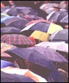 Umbrellas