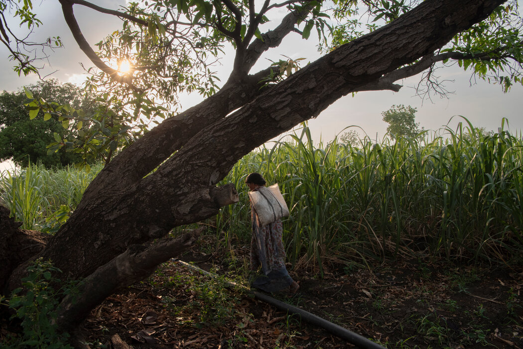 5月，肖丽在比德地区的卡瓦德冈村照看完自家的一片农田后走在回家的路上。