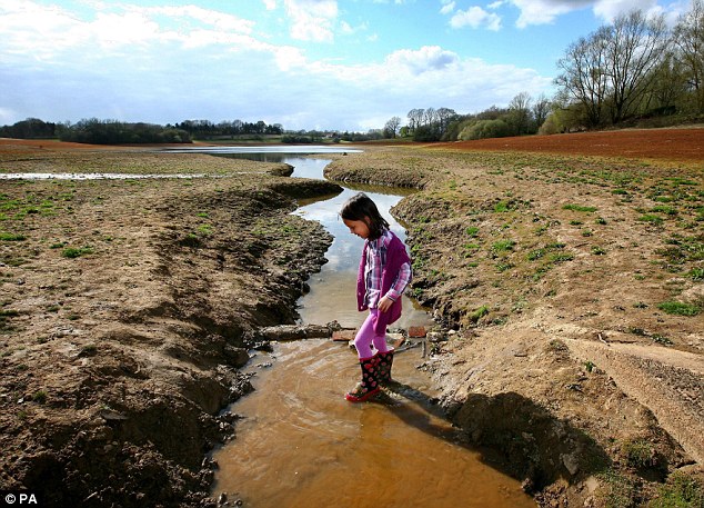 Running near empty: Isla Stanton, five, paddles in the depleted Bewl Water Reservoir near Lamberhurst, Kent. More than 35million people are now living in the drought zone which is engulfing England