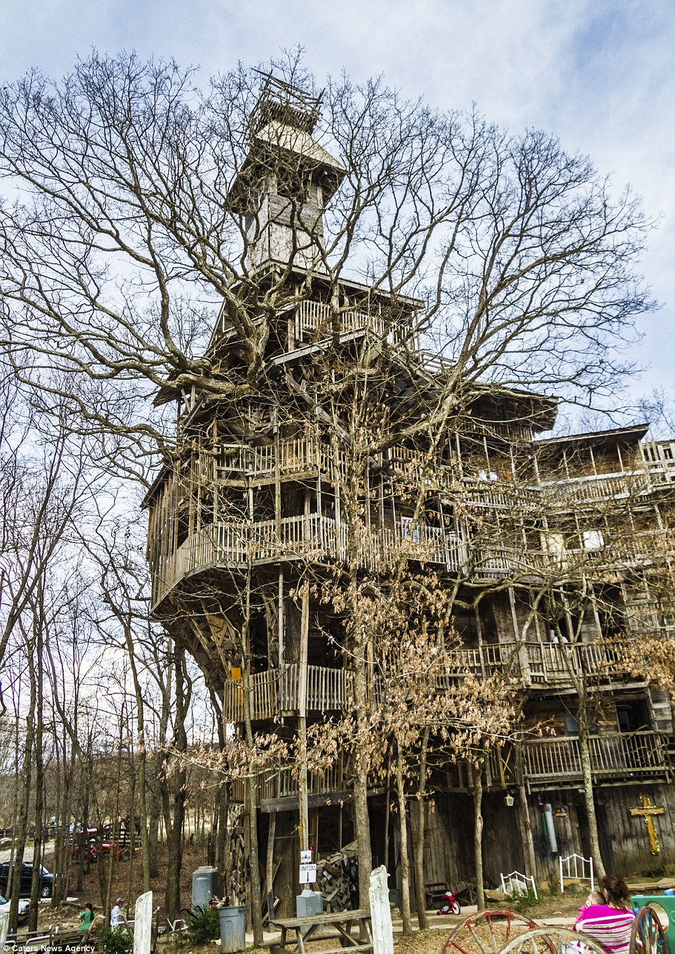 Tree house