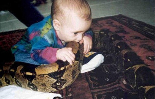 Horror: A teething baby takes a bite into a giant snake